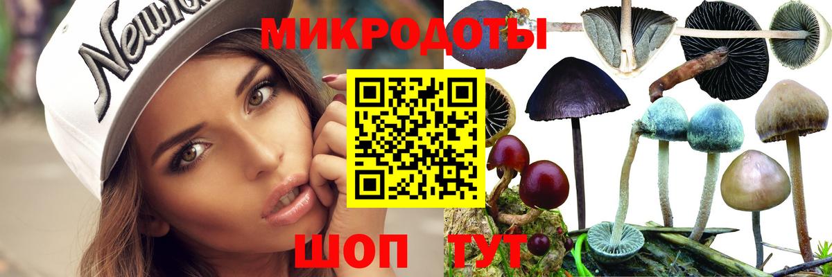Псилоцибиновые грибы GOLDEN TEACHER Добрянка